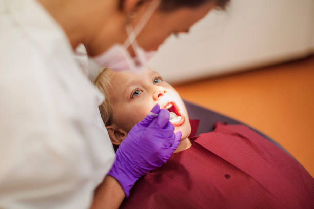 Best Emergency Dental Services for Seniors in Perry Heights, OH